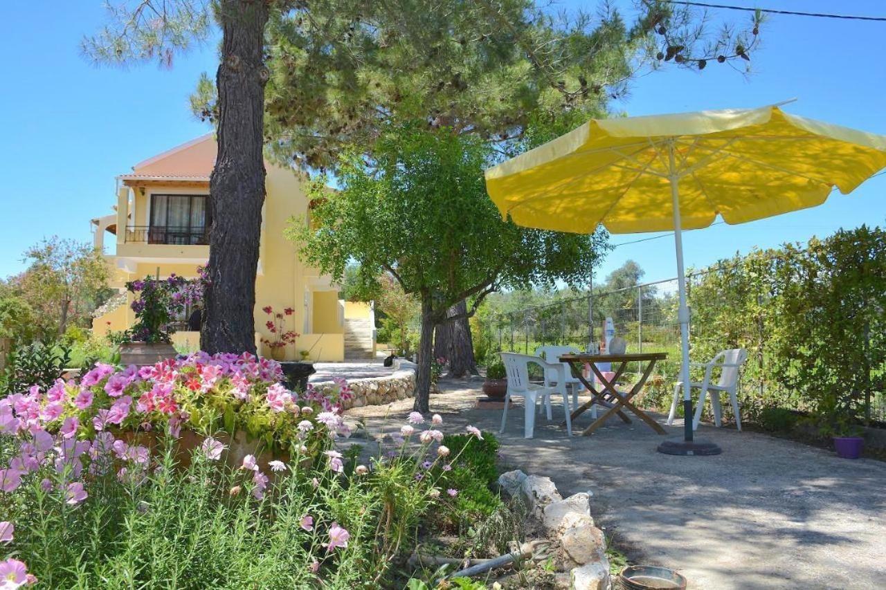 Apartament Alexandra 10
